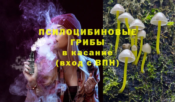 тгк Абаза